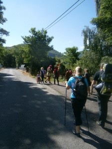 994456_290989274417282_4832731430488200845_n